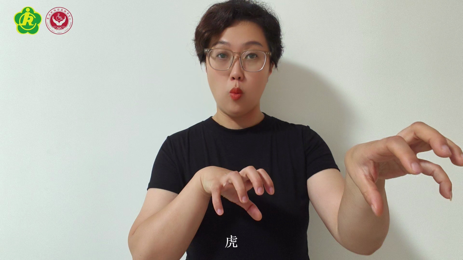 【心语大爱】手语小课堂第二十一期