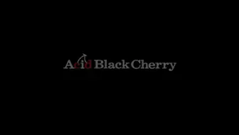 Acid Black Cherry 08 Tour Black List 哔哩哔哩 Bilibili