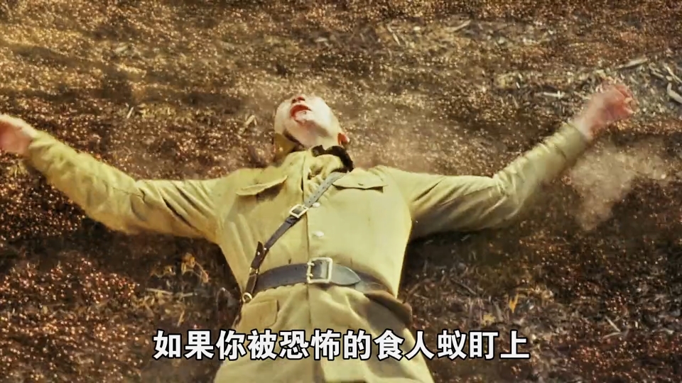你见过食人蚁吗?真是太恐怖了