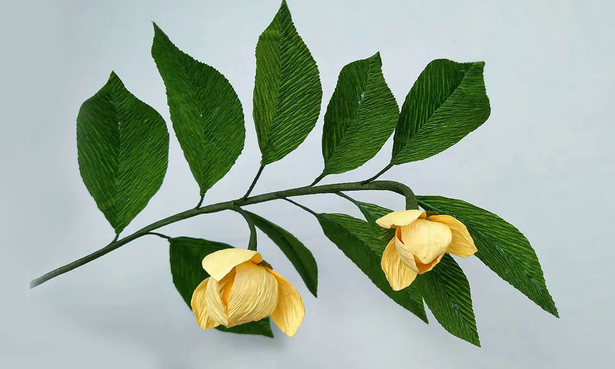 【bopha handmade】隆都花皱纸花制作教程how to make rumduol paper