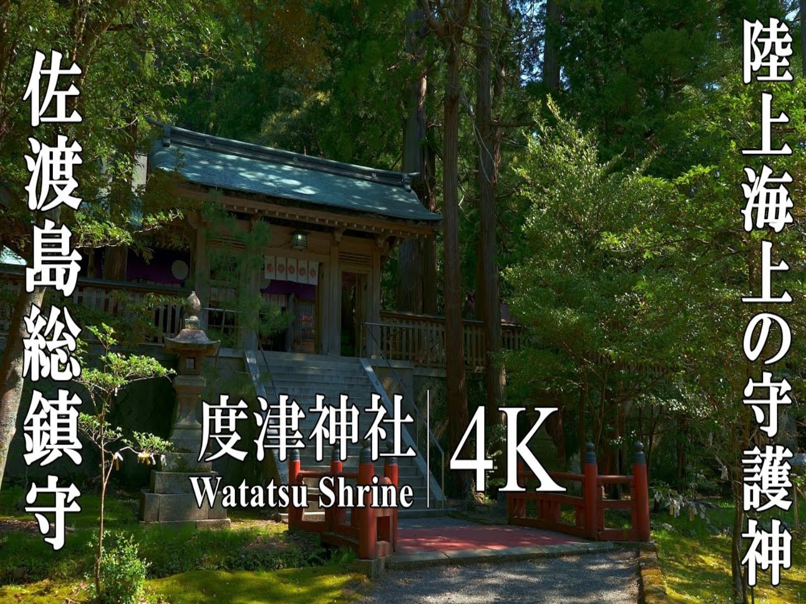 【日本巡礼高清4K】新潟県 佐渡岛 度津神社 | 本州最大の离岛、佐渡岛の総镇守 | Watatsu Shrine哔哩哔哩bilibili