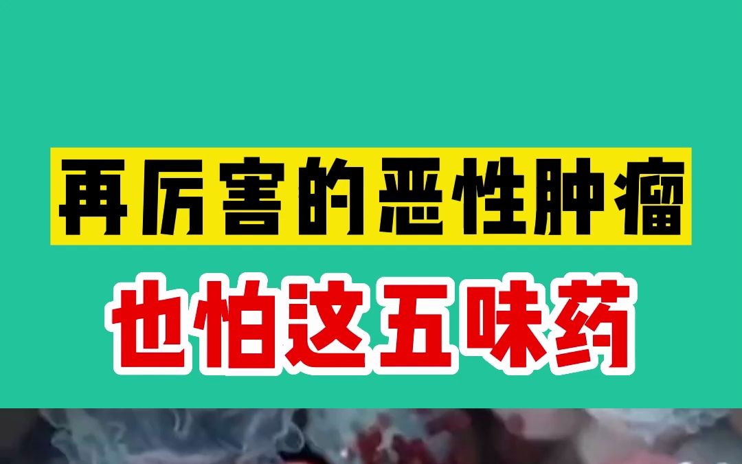 再厉害的恶性肿瘤,也怕这五味药,千万不要瞎折腾哔哩哔哩bilibili