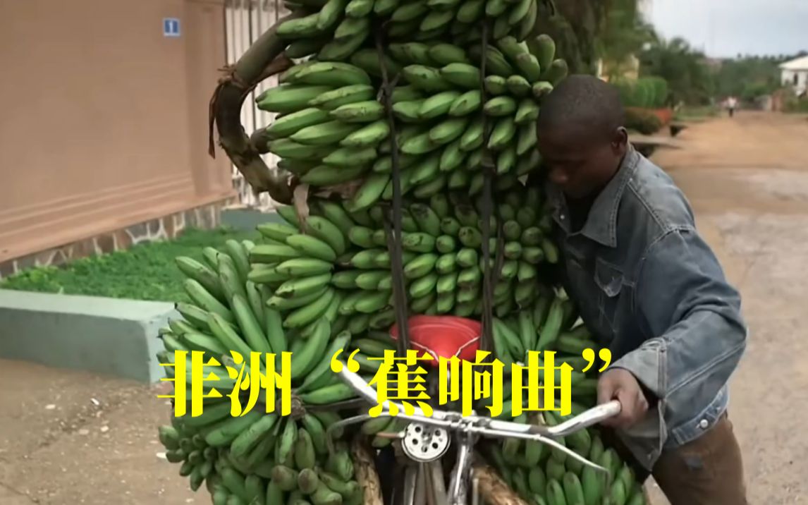 载重500斤,风驰电掣的二八大杠