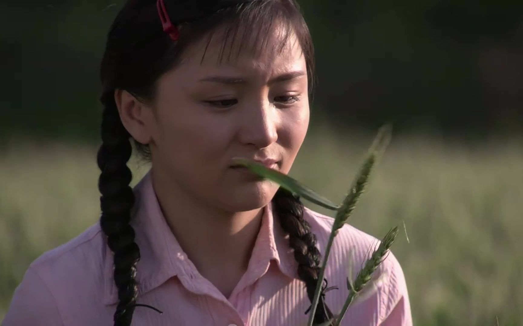 葵花進城021:葵花在莊稼地裡看著麥田說著悄悄話,她很捨不得它們