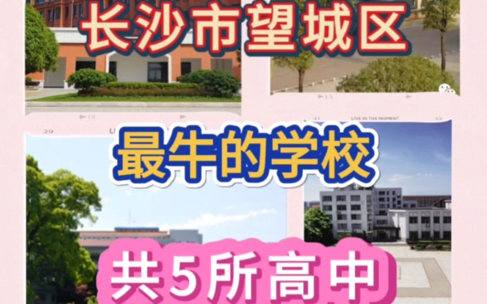 2023中考丨长沙市望城区最牛的5所高中,是很多初三学子的目标学校!#升学#长沙#初升高#高中学校#考试哔哩哔哩bilibili