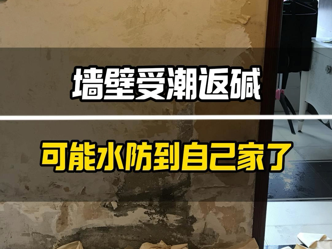 墙壁受潮返碱是什么原因?