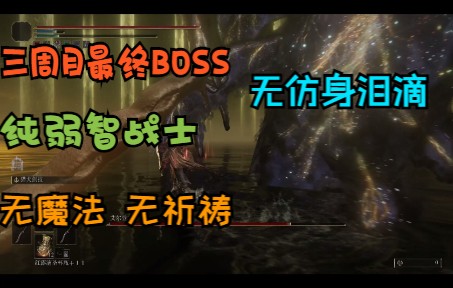 [图]【法环三周目】纯弱智战士无泪滴过最终BOSS