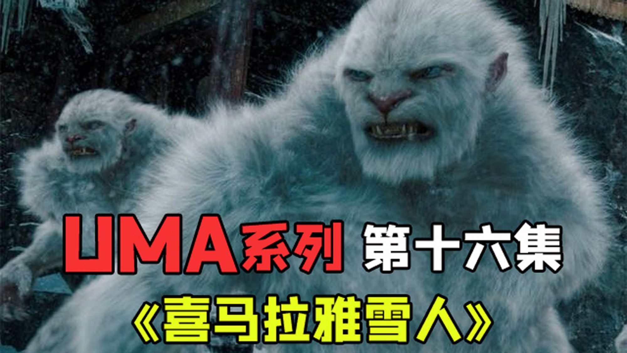 《UMA系列视频》第16集中国最著名的未知生物喜马拉雅雪人哔哩哔哩bilibili