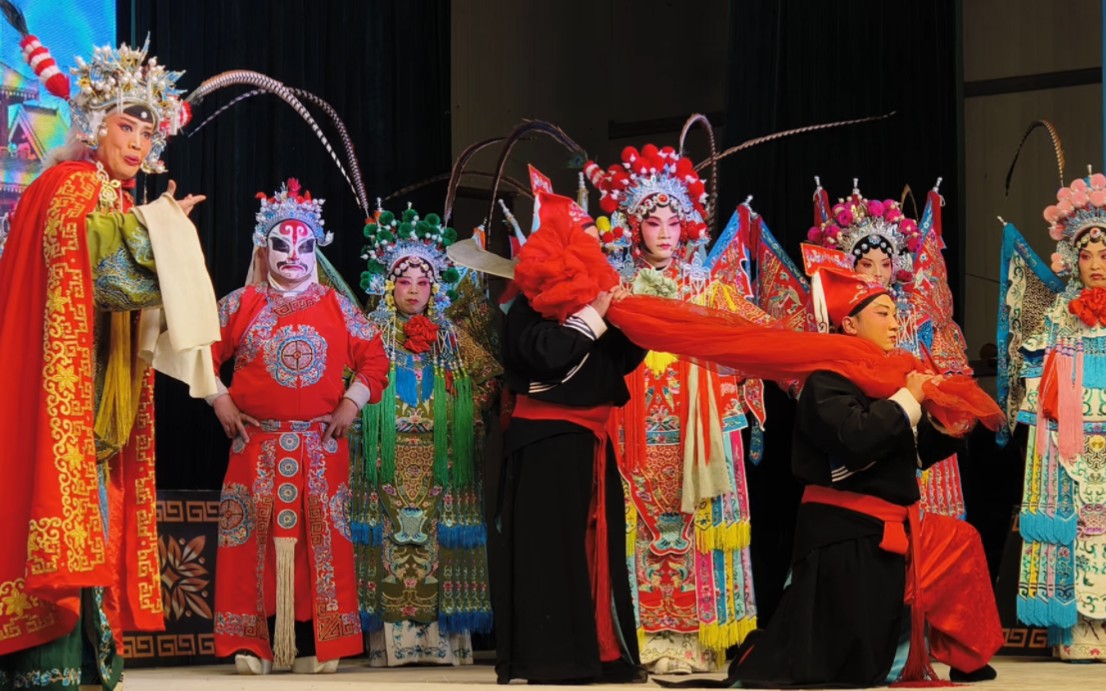 豫剧《五世请缨》王明玥 主演