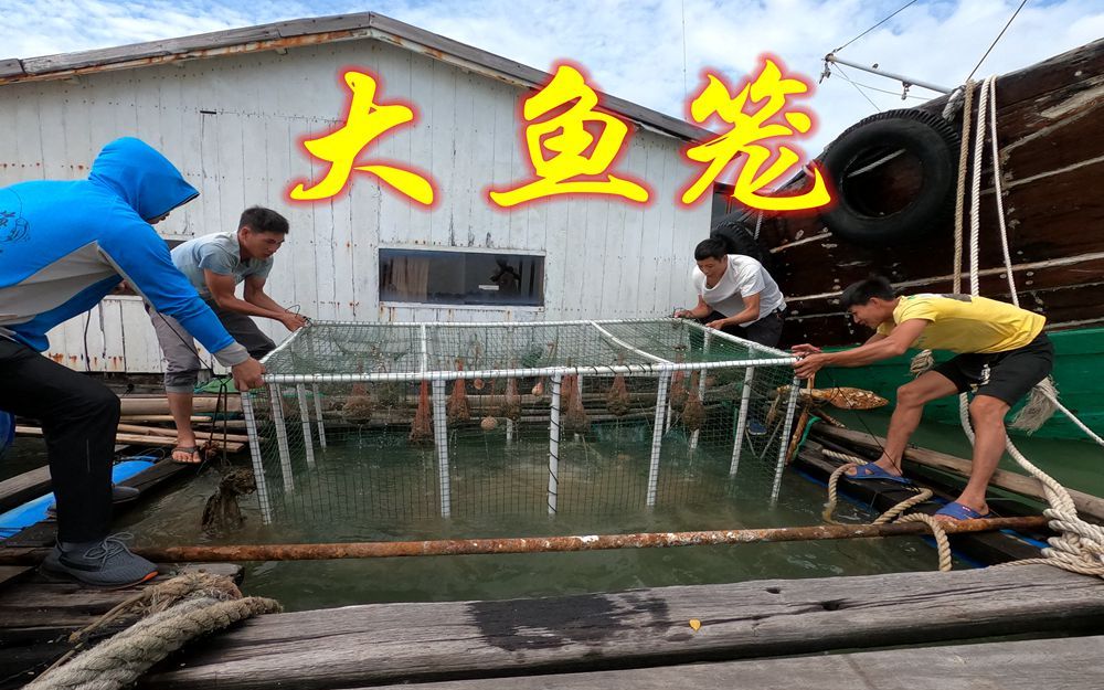 阿广花3天自制超大捕鱼笼,放海里几天,拉上来那一