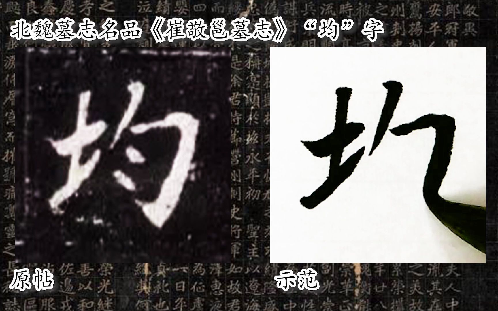 [图]【每日一字】书法系列，周东芬临北魏墓志《崔敬邕墓志》“均”字