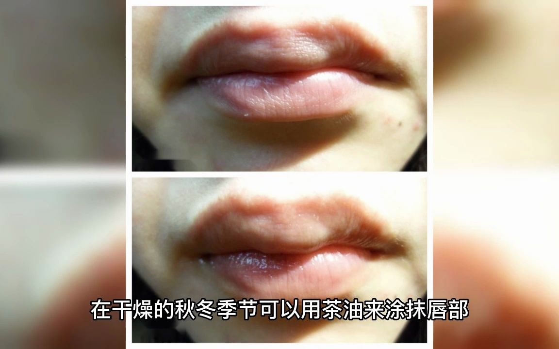 茶油的美容效果与作用哔哩哔哩bilibili