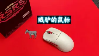 贱驴RSR5S