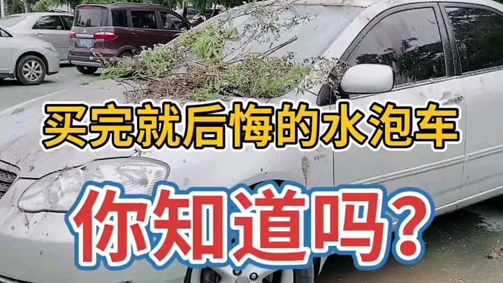 买完就后悔的水泡车你知道吗?哔哩哔哩bilibili