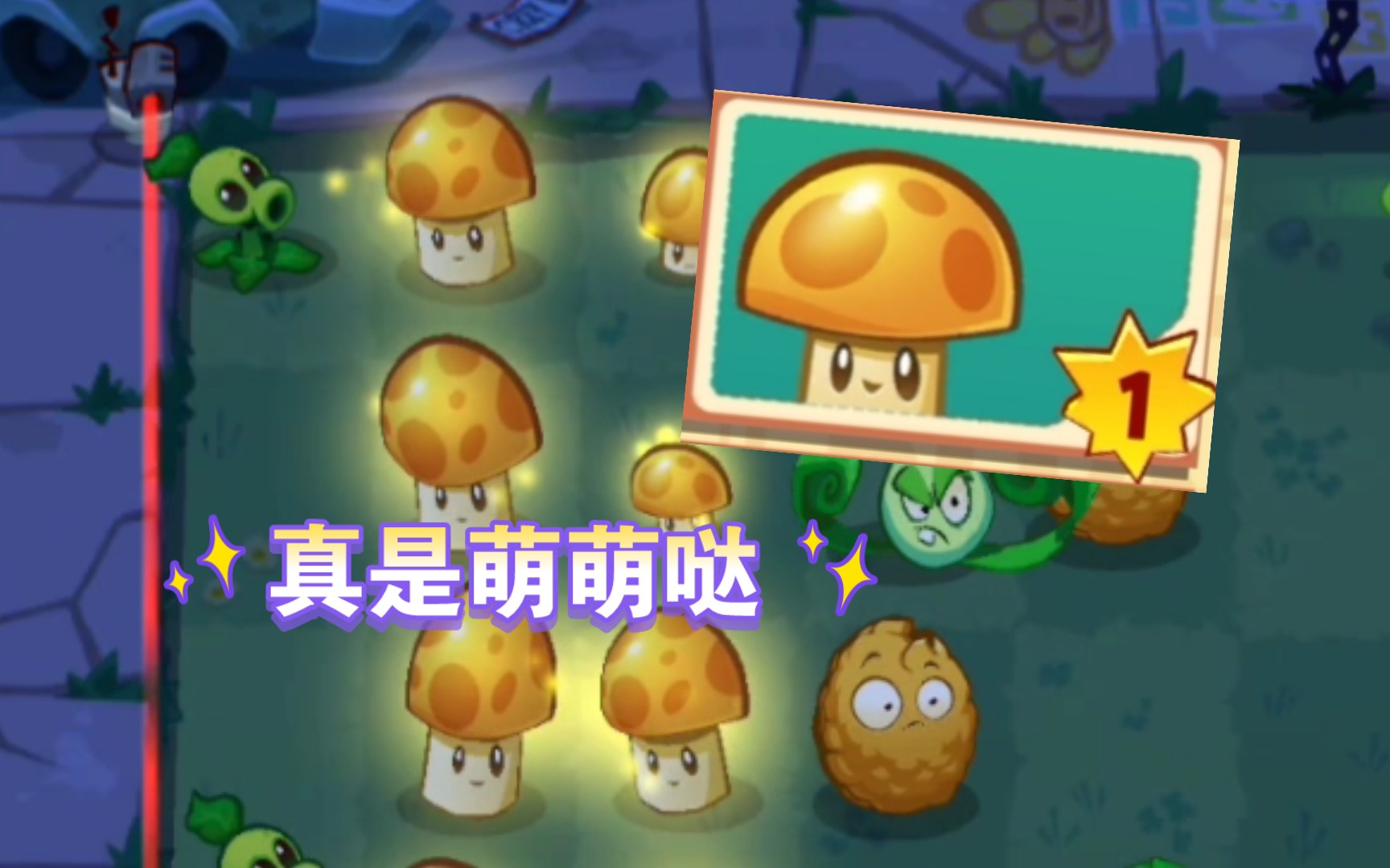 3代陽光菇登場!強度如何?【pvz3搶先看】