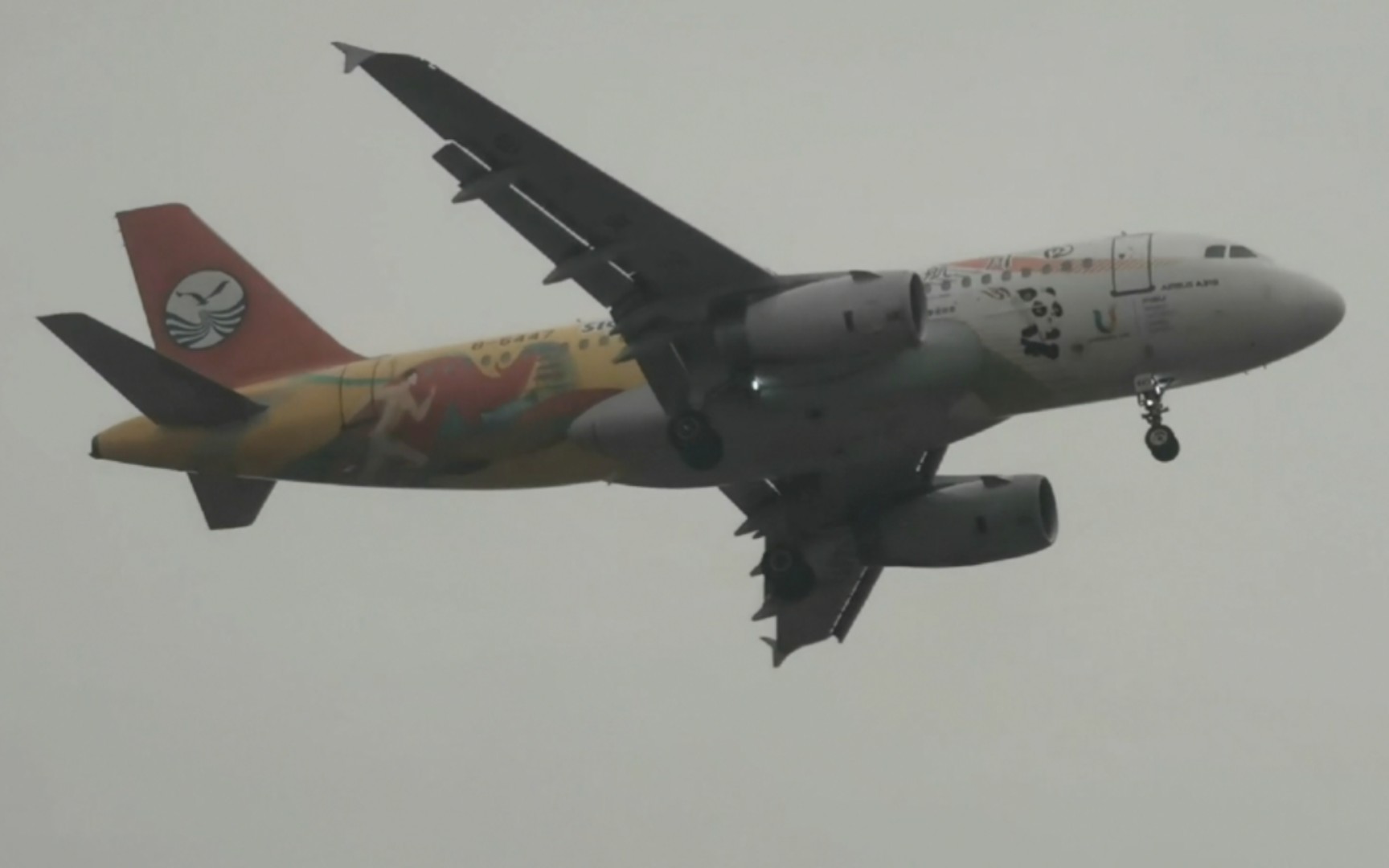 【tsn】四川航空a319"成都大运会"彩绘机降落滨海机场跑道34r