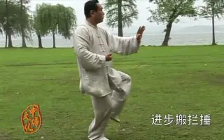 杨式太极拳 哔哩哔哩 Bilibili