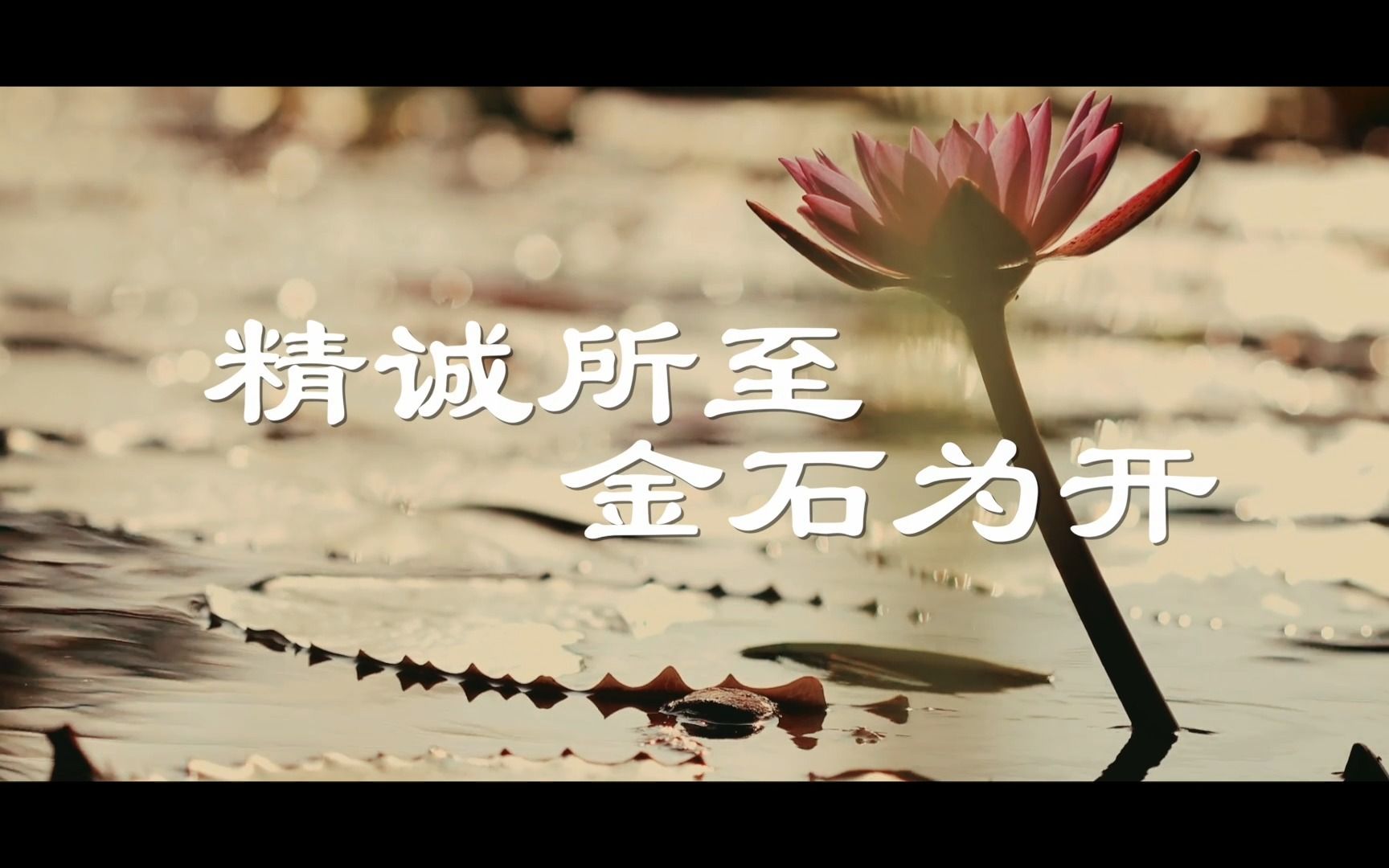 湖南桂东话筒星播音主持艺术《国学故事之精诚所至金石为开》