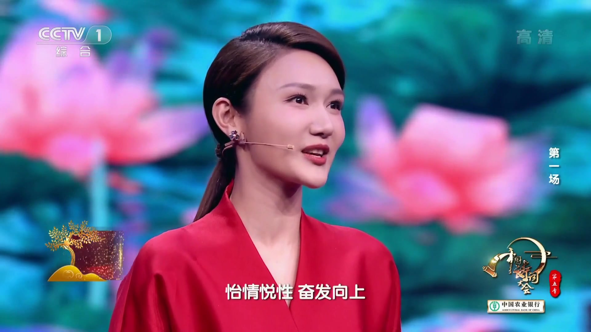 中央广播电视总台央视综合频道cctv1高清中国诗词大会第五季首播版第