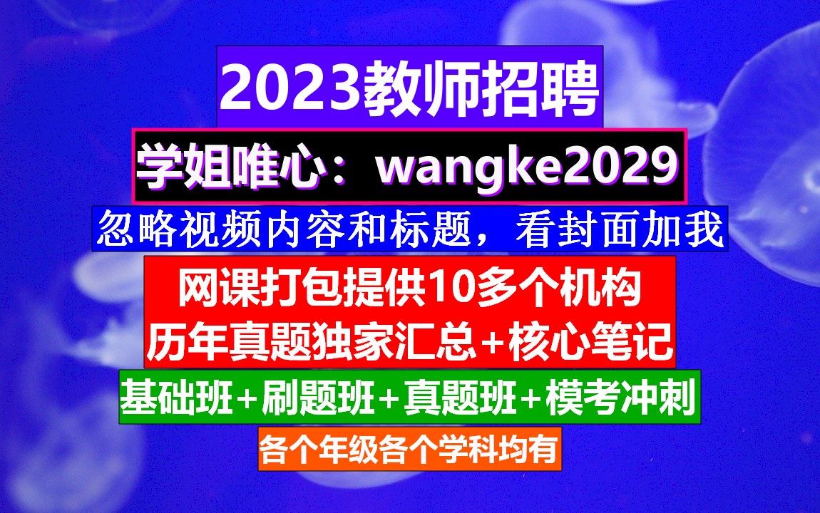 2023教师招聘教育基础知识,小学教师编制考试科目,教师考编考几科哔哩哔哩bilibili