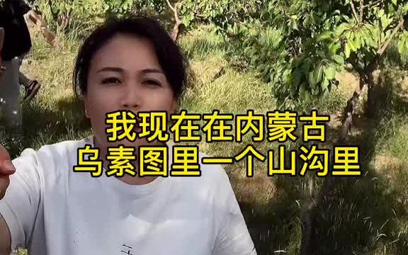 [图]回来看看孩子，看看朋友，这个我舍不得也得走的地方……感恩遇见，我的粉丝们，感谢有你们！