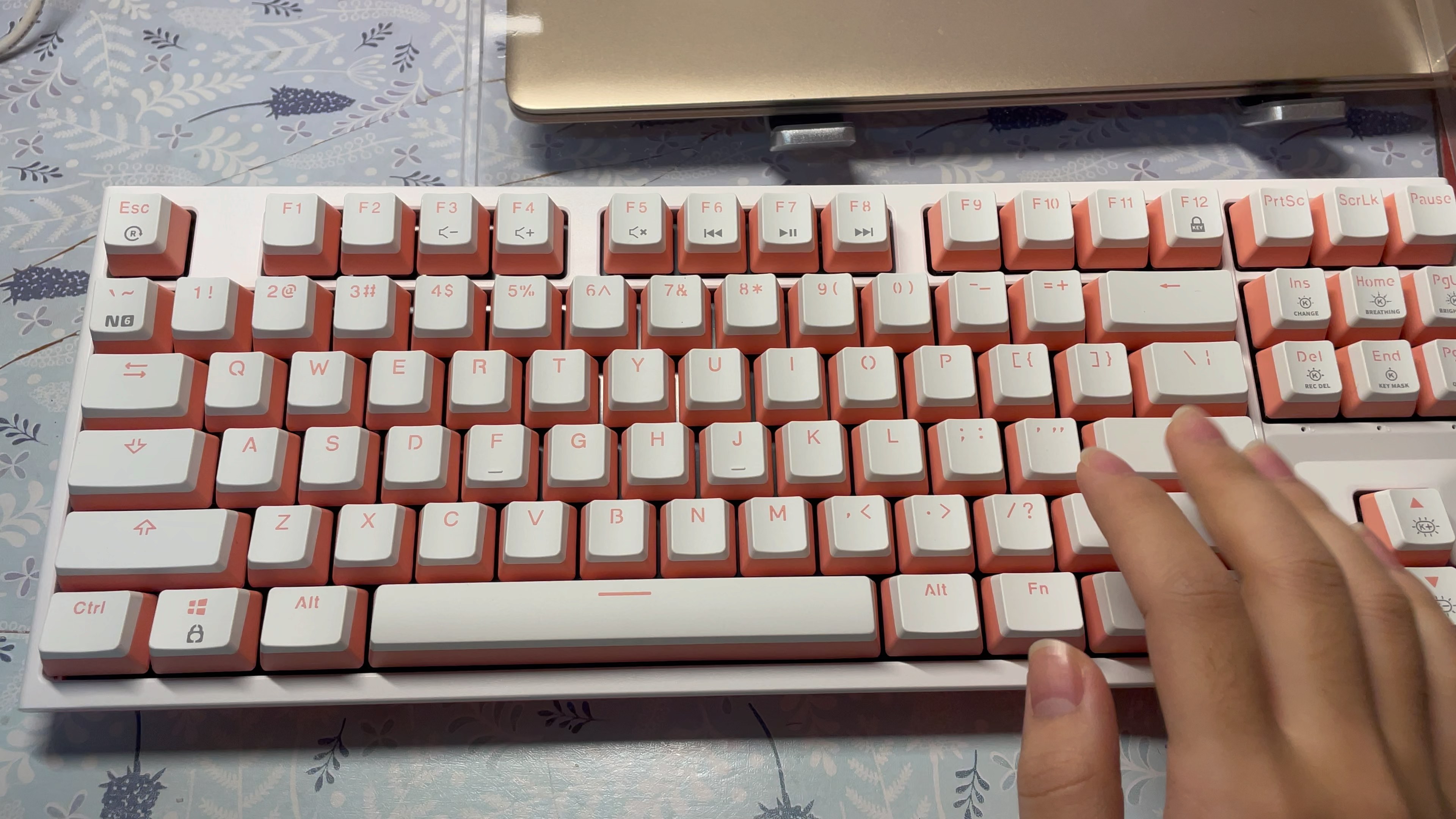 黑峡谷x3 box红轴大键音