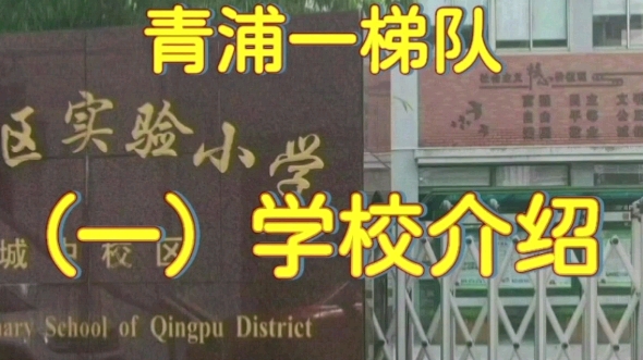 青浦区 | 一梯队 | 青浦实验小学城中校区,青浦实验中学+东方中学!(一)学校介绍:#上海买房 #上海楼市 #学区房 #高性价比好房 #楼市政策哔哩哔哩...