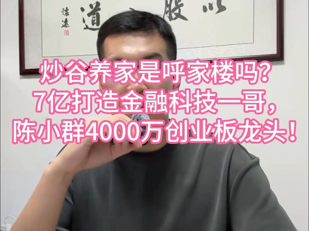 炒谷养家是呼家楼吗?7亿打造金融科技一哥,陈小群4000万创业板龙头!哔哩哔哩bilibili