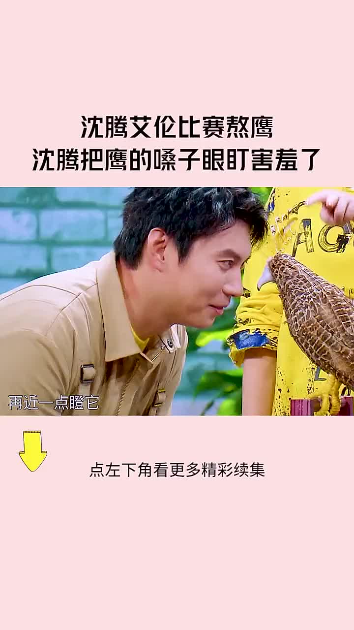 沈腾艾伦比赛熬鹰沈腾对着鹰的嗓子眼一顿熬鹰都笑了