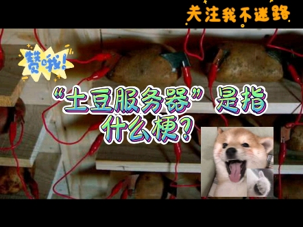 “土豆服务器”是指什么梗?