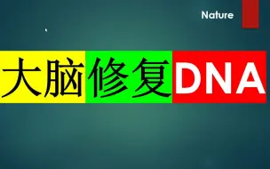 下载视频: Nature—重磅发现！大脑有独特的DNA损伤修复机制，该机制异常可缩短寿命！