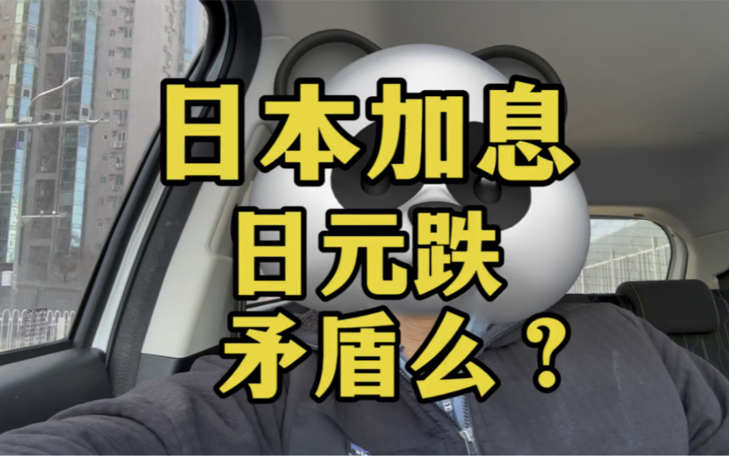 【熊哥有干货】最新视频来袭,快来看看吧!