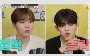 Télécharger la video: [生肉]SEVENTEEN-211025 狗狗很優秀EP.100(S.Coups&勝寛)