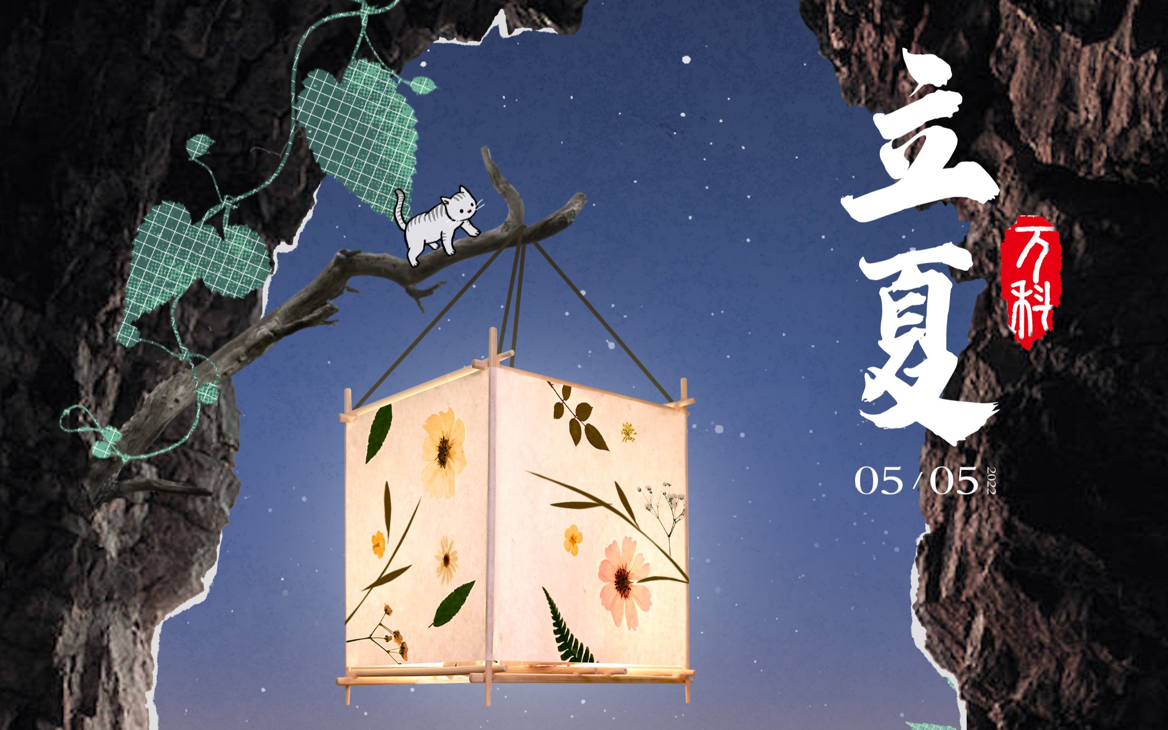 巧手作花草灯笼,提灯观日落星辰,悠长夏日已开启,热烈生活最美丽.