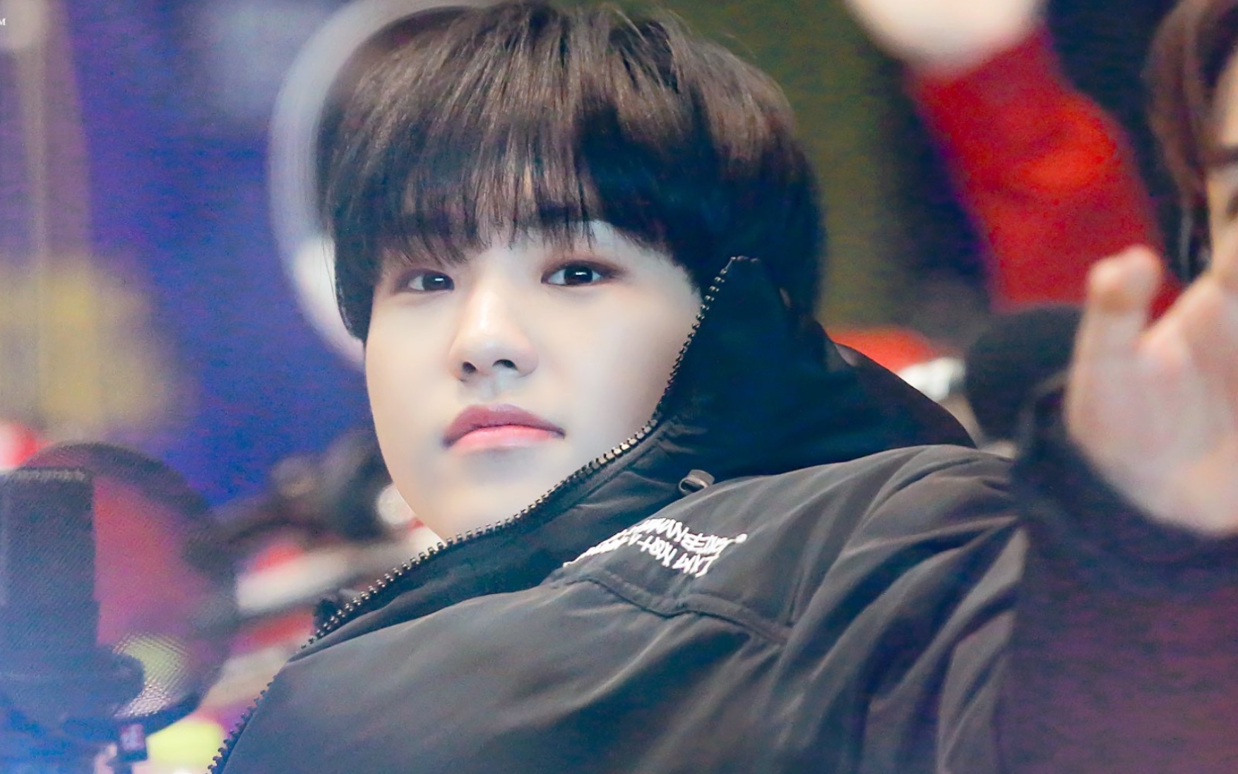 【合集】可可爱爱权顺荣