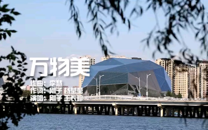 [图]【刚子】 万物美mv 辽宁都市新闻正前方