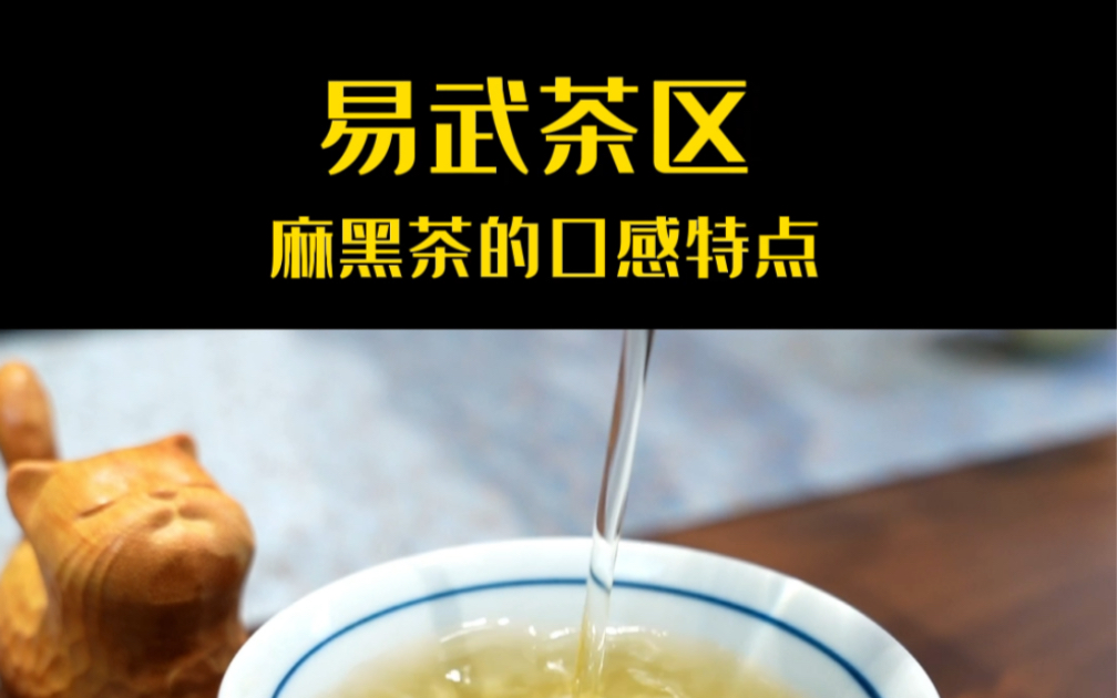 喝懂易武茶从麻黑开始,麻黑普洱茶生茶口感特点~哔哩哔哩bilibili