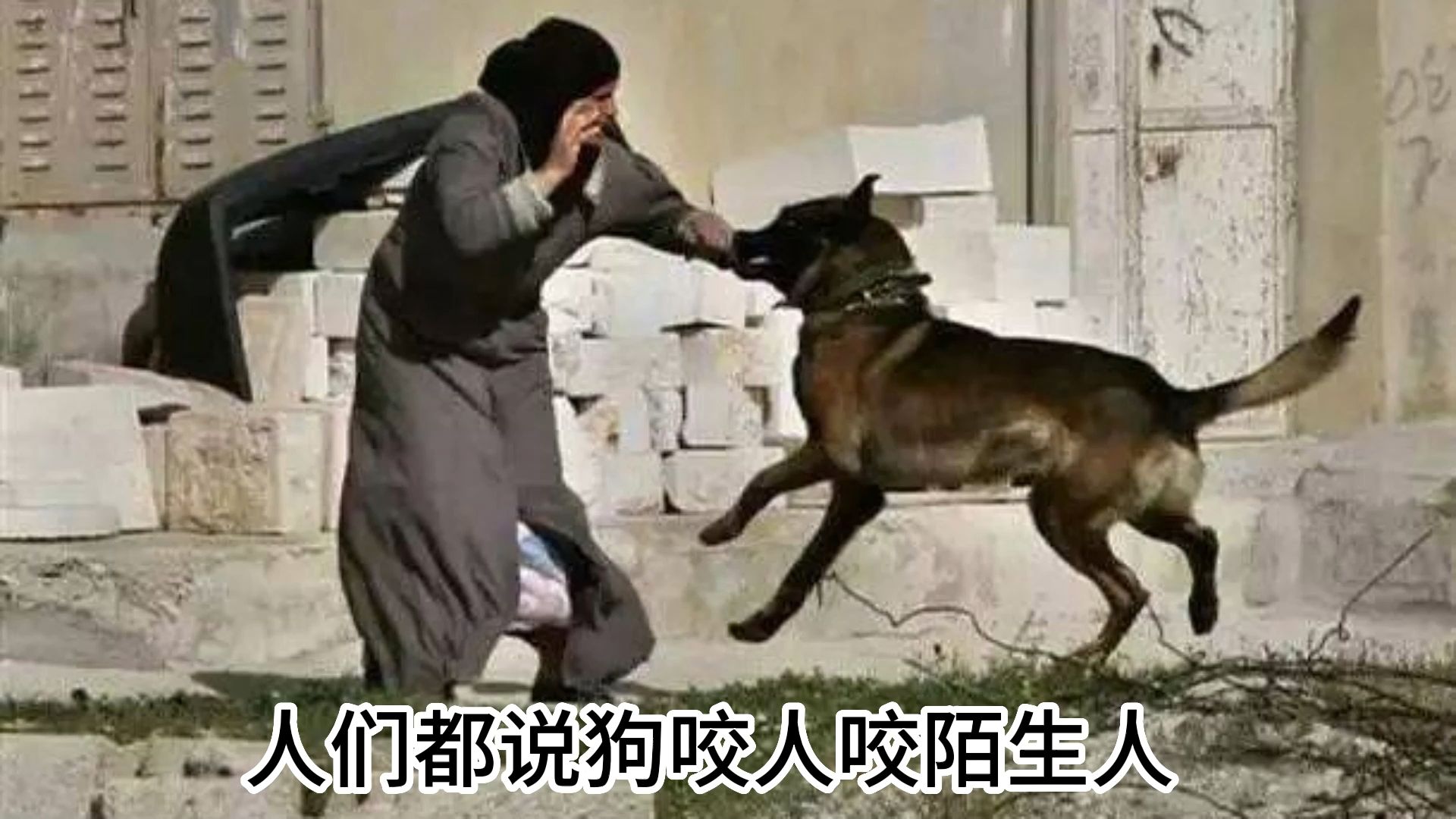 人们都说狗咬人咬陌生人,可是,在那个特殊年代里狗却熟人陌生人一起咬
