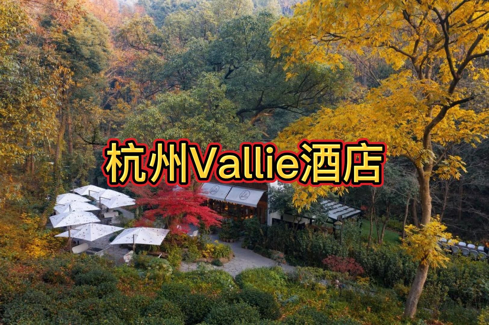 2022杭州精品民宿口碑榜【杭州Vallie酒店】哔哩哔哩bilibili