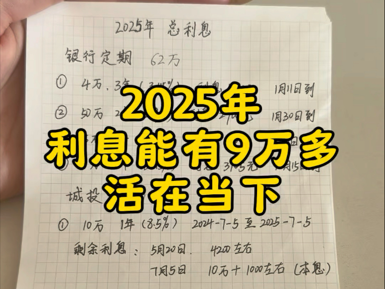 2025年利息保守估计9万多,但是也要精打细算#靠利息生活#存钱哔哩哔哩bilibili