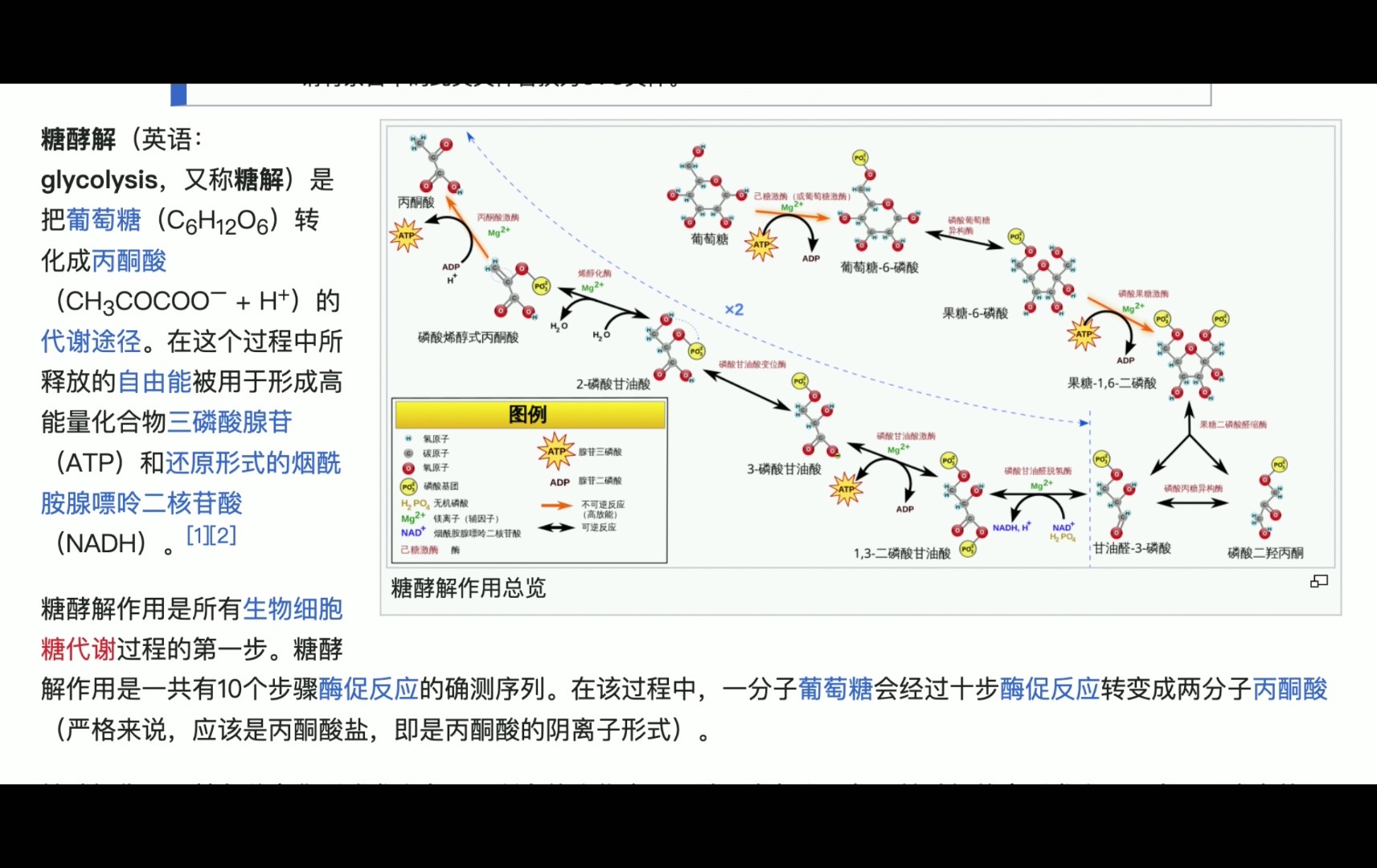 【良学】基于文献参考的关于吃播良子的身体状态的研究哔哩哔哩bilibili