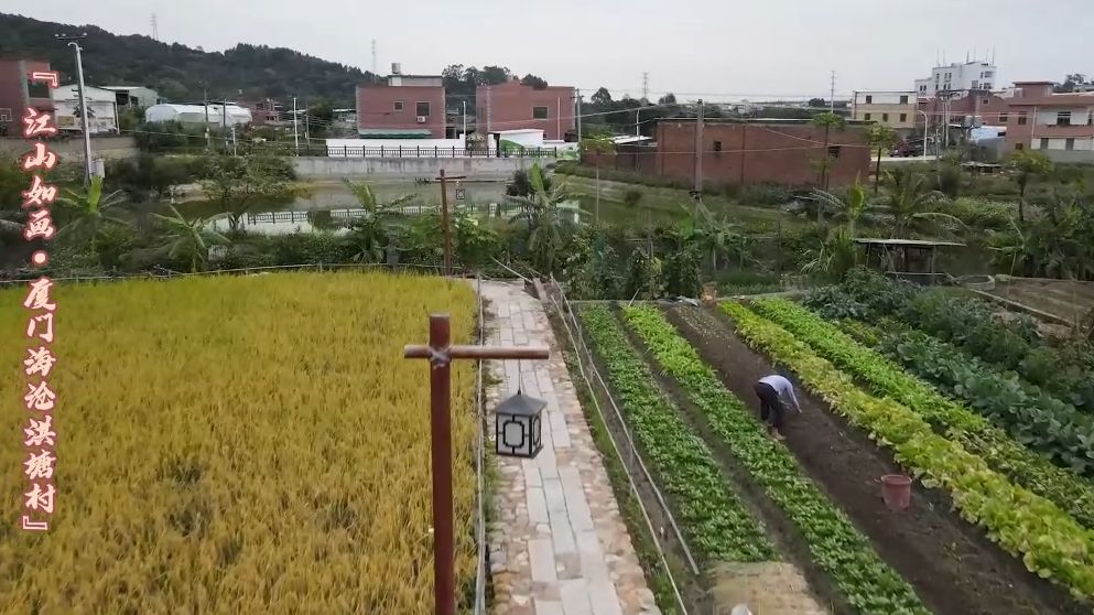 江山如画ⷨˆꦋ福建 厦门海沧洪塘村,航拍视角下的田园慢歌~哔哩哔哩bilibili