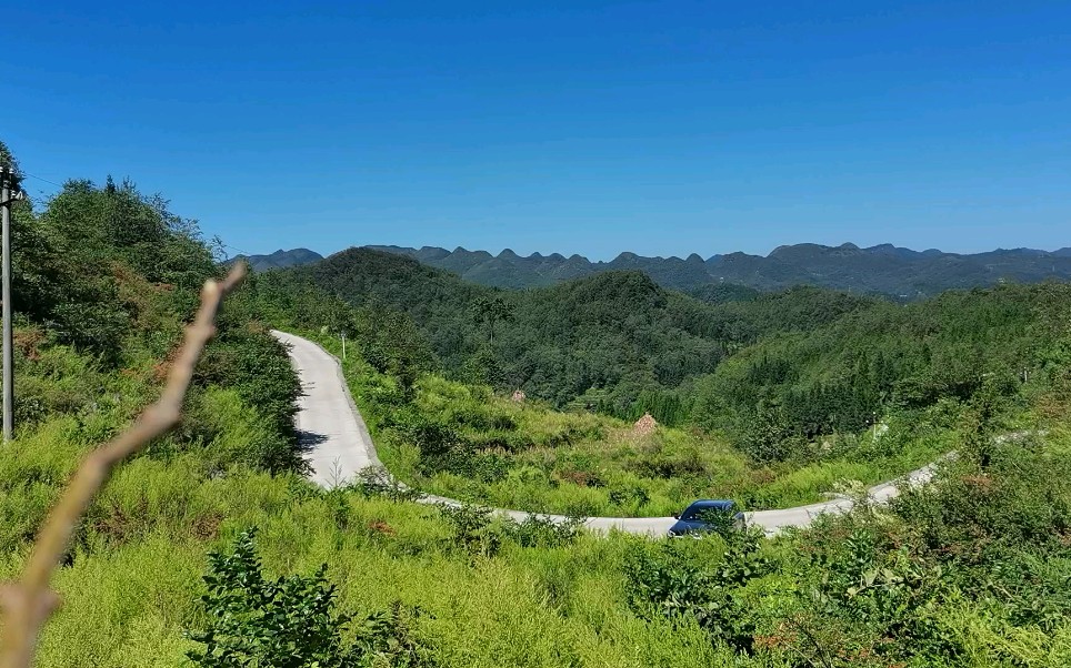 大路边的黄花地,为何千古无人识,看看山河老师分解哔哩哔哩bilibili