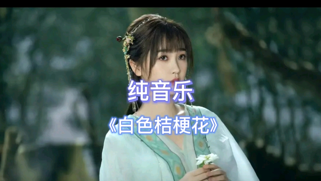 #纯音乐 《白色桔梗花》完整版#治愈 #情感 #哔哩哔哩bilibili