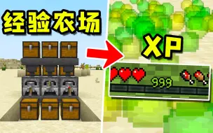 Download Video: 我的世界：4个简单又实用的，初期农场！