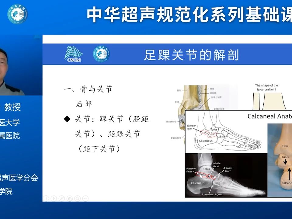 [图]肌骨超声精讲第12课-足踝关节解剖及超声检查规范