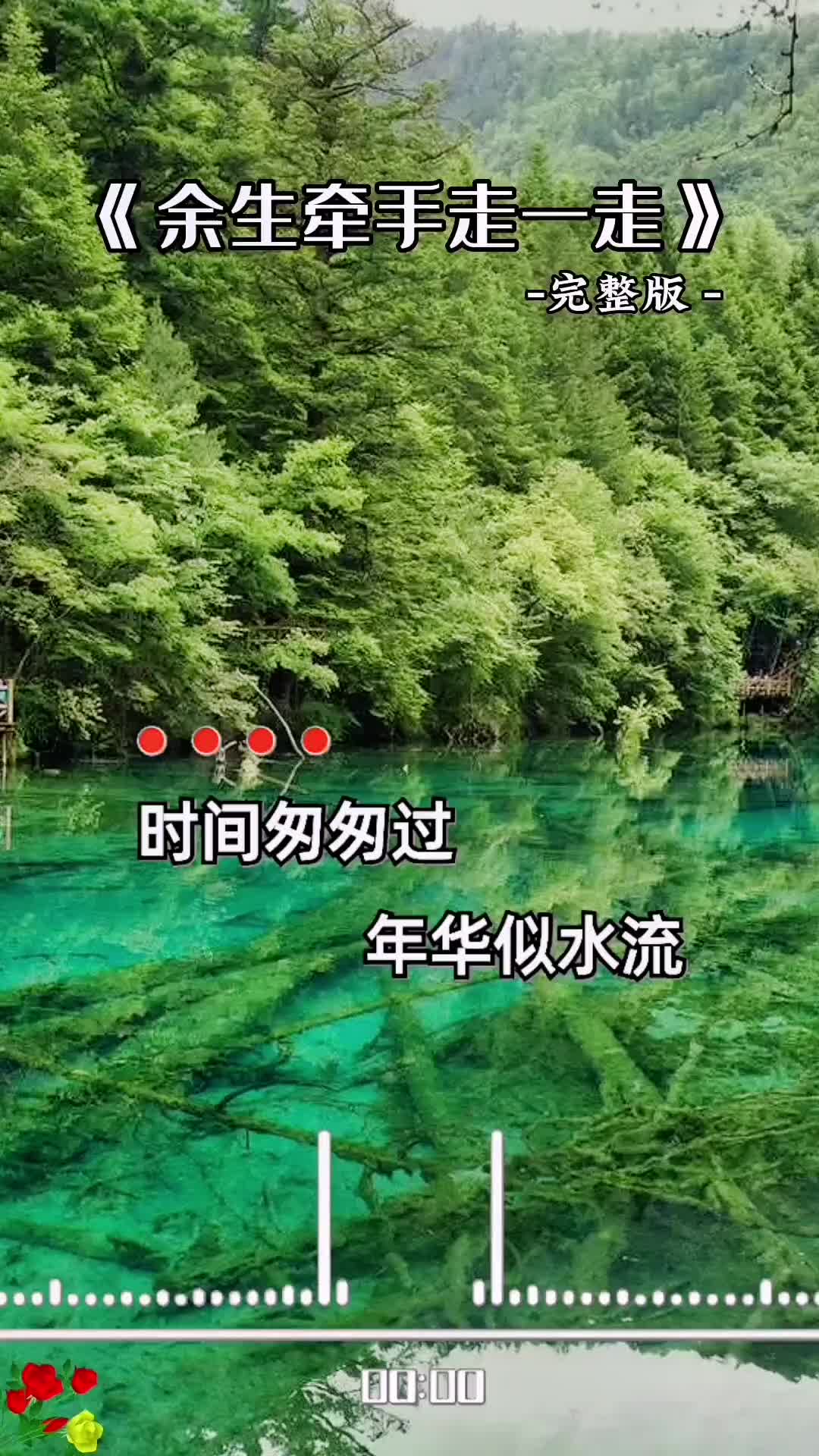 时间匆匆过年华似水流不知不觉已经白了头完整版余生牵手走一走时哔哩哔哩bilibili