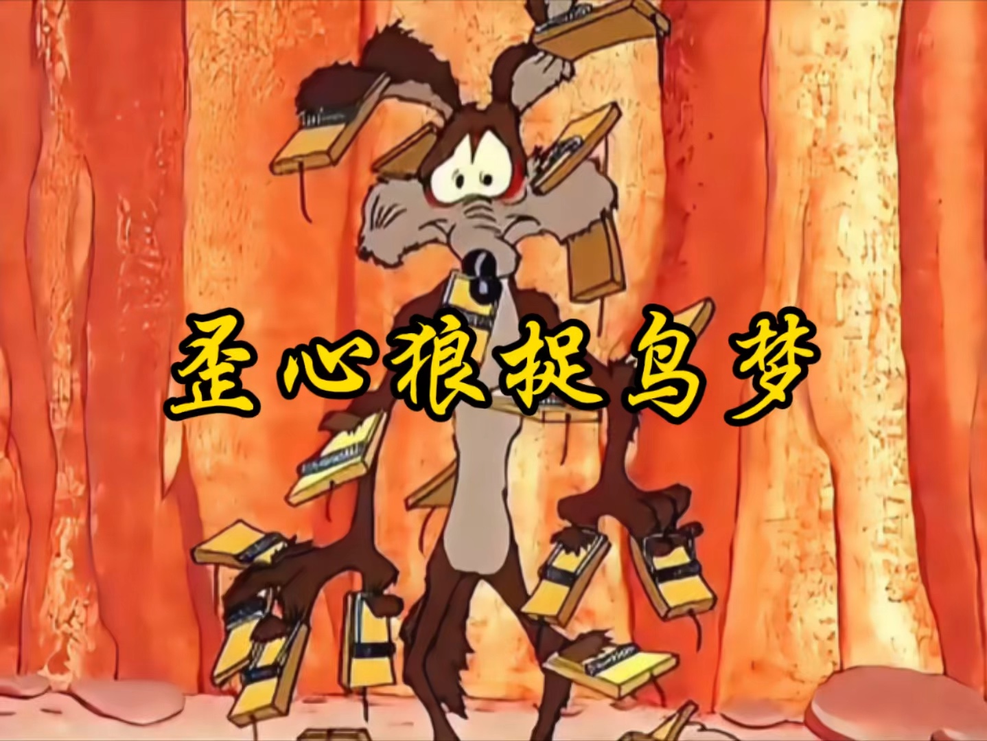 歪心狼捉鸟梦:可怜的歪心狼,不管怎么设置陷阱,伤害的总是自己