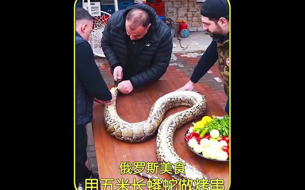 俄罗斯美食-用五米长蟒蛇做烤串 推荐 推荐官