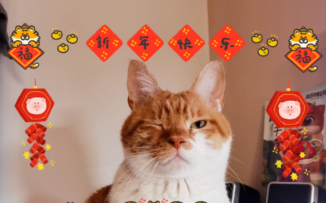 橘猫辞旧迎新新年快乐